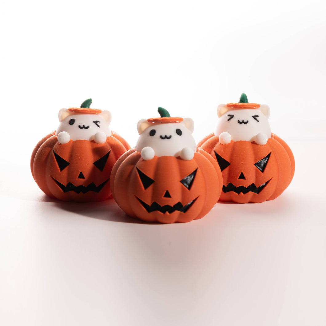 Fidget gato en calabaza de Halloween