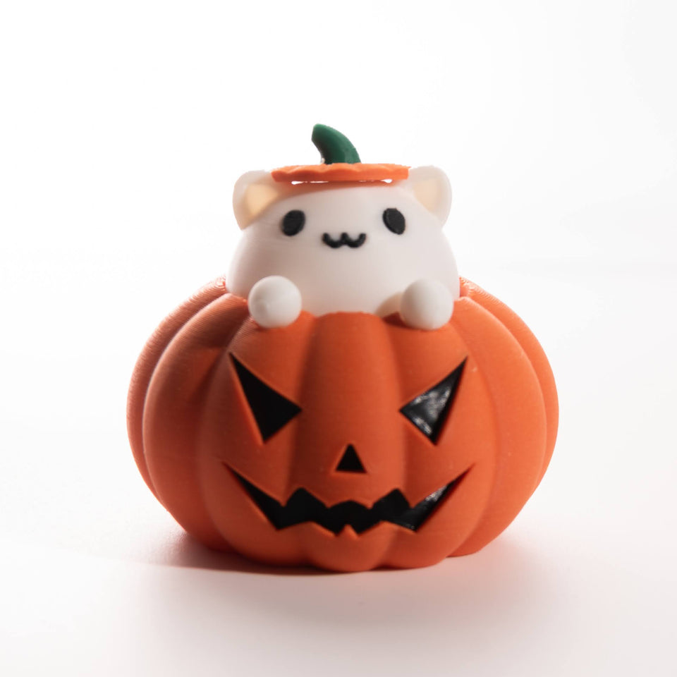 Fidget gato en calabaza de Halloween