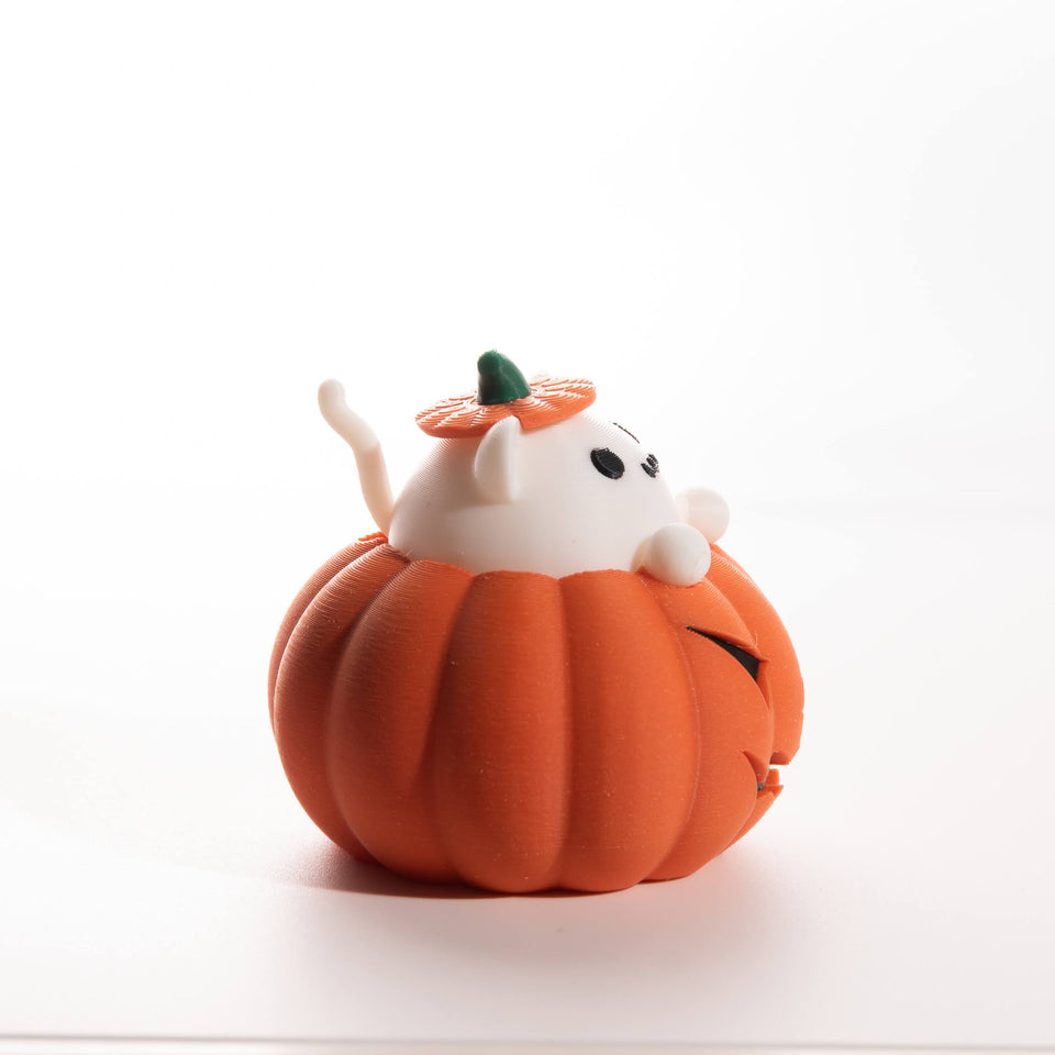 Fidget gato en calabaza de Halloween