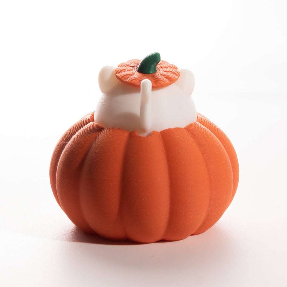 Fidget gato en calabaza de Halloween