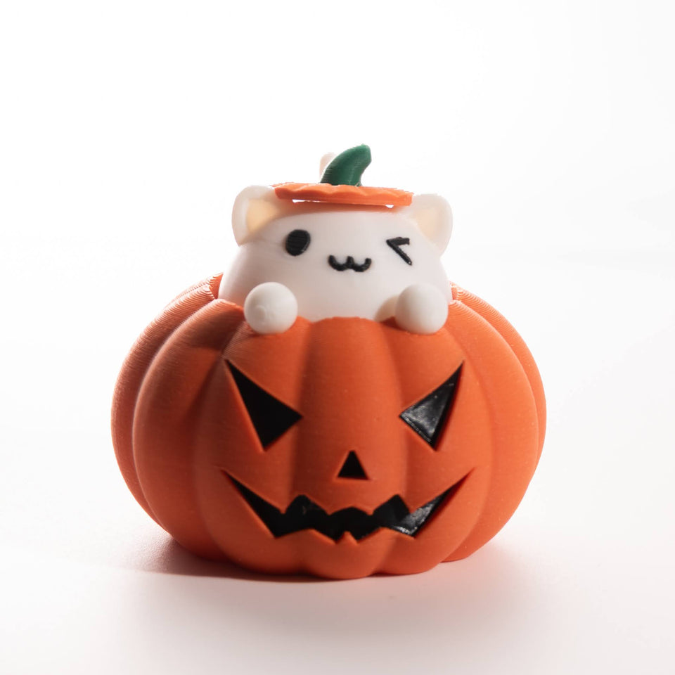 Fidget gato en calabaza de Halloween