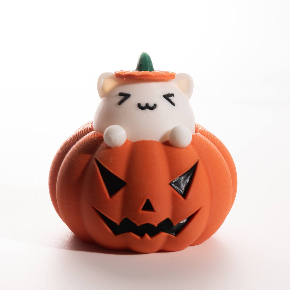Fidget gato en calabaza de Halloween